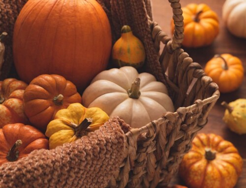 10 Thanksgiving-Themed Writing Prompts to Spark Gratitude and Creativity